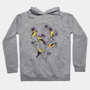 Goldfinches Hoodie